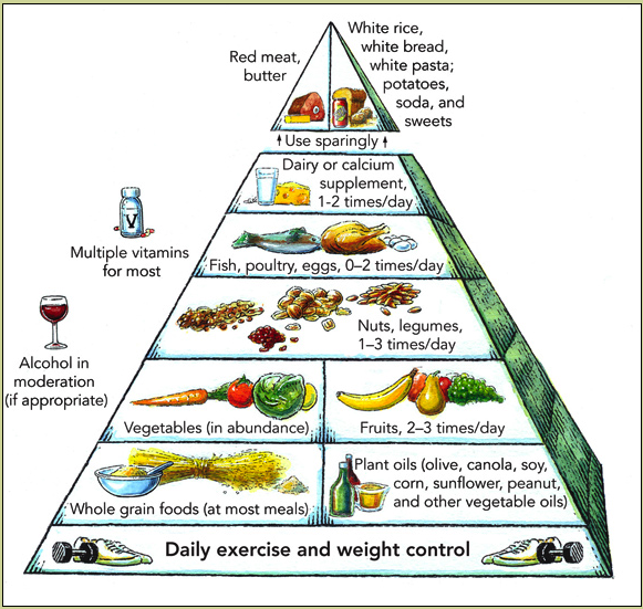 Food Pyramid Guidelines. USDA's food pyramid (click