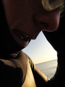 dec_31_2011_4 dec_31_2011_4