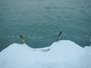 jan_15_2011_4 jan_15_2011_4