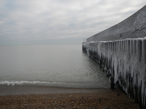 jan_15_2011_6 jan_15_2011_6